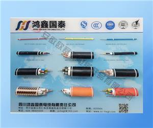 各種投標電纜樣品
